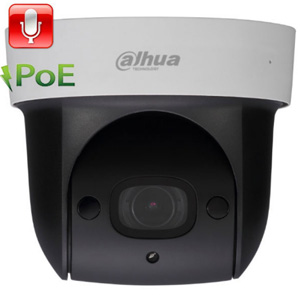 Поворотная IP-видеокамера DH-SD29204T-GN