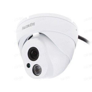 Купольная IP-видеокамера FE-IPC-DL100P Eco (Practic) - фото 2