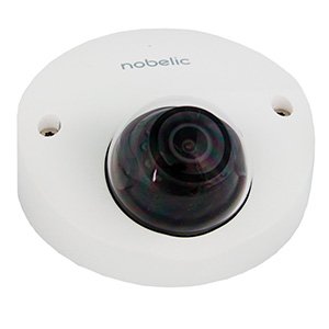 Купольная IP-видеокамера NBLC-2420F-MSD